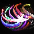The pet supplies lettering collar hair led collar dog and  small dogs the dog dog  10pcs 2