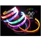 The pet supplies lettering collar hair led collar dog and  small dogs the dog dog  50pcs 03