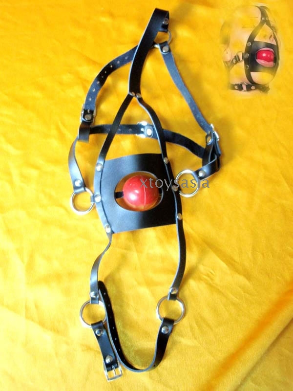 muzzle gag