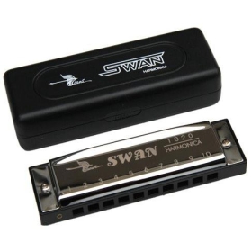 Advanced 10-hole blues harmonica, laser silver 