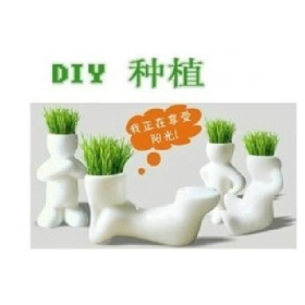Ceramic long grass doll/mini gardening/small garden/gift/mini plant/long grass doll  