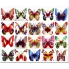  Free Shipping! 500pcs/lot Butterfly Fridge Magnet Simulation, Luminous Butterfly Toy Wholesale 