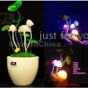Magic mushrooms all of energy saving lamp, small night light ceramic edition  birthday gift