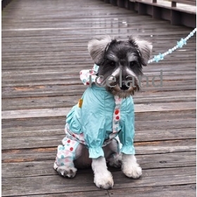 Doug is a beautiful girl of the raincoat pet raincoat dog raincoat 