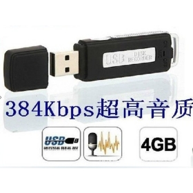 Free shipping 4GB USB Digital Audio Voice Recorder 