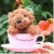 Voice Tiny Teacup Poodle,Voice teacup dog,pocket dog with retail package as Christmas gift 20pcs/lot