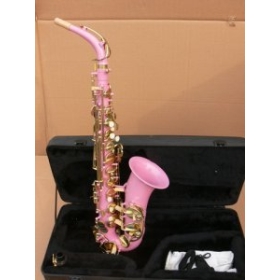 Brand New Alto Saxophone Sax Med Case