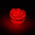  50pc/ lot ,Free ship ,Led red Rose Flower Light,led illumination,roses love lamp,led wishing lights,flower light ,hot sale !