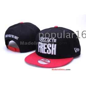 Free shipping -  Snapback caps  /  men's fashion sports hats top quality Are The Most Popular Forms Of Head Wear Now 01# 