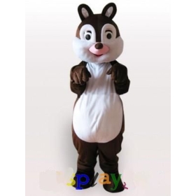 Little Squirrel Adult Mascot Costume eb56