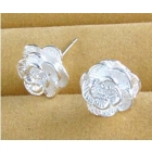 Free Shipping factory wholesale new  Jewelry eardrop earrings 10PCS A2