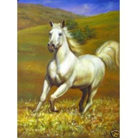 High quality handicrafts oil painting:White horse 