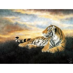 Beautiful Oil painting wild animal tiger CANVAS 24'x36'