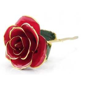 Wholesale/Retail lacquered red rose dipped in gold,28.5cm gold rose festival gift,8 colors real rose,Paypal/Drop shipping