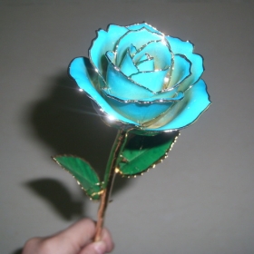 Wholesale/Retail lacquered blue rose dipped in gold,28.5cm gold rose festival gift,8 colors real rose,Paypal/Drop shipping