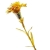 Wholesale handcrafted gold carnation with certificate festival gift,great Mother's Day gift,platinum carnation,paypal 