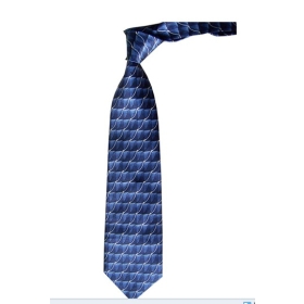 2011 new man tie/blue printing/mature man first choice/blunt drill honour