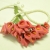 Doprava zdarma - 144ks Ruční Red Mini Calla Lily Flower Svatební Favor Box Decor Scrapbooking DIY kutily