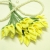 Frete Grátis- 144pcs Handmade Verde Mini Calla Lily Flower Wedding Favor Box Decor Scrapbooking fontes do ofício DIY