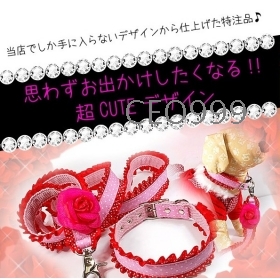 2013 NEW Japan doug pet go out traction rope, beauty  collar + traction rope, dog rope, chain Free Shipping