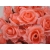 200pcs Diameter 7cm  Color Number 04 Highly Artificial Silk Simulation Rose Camellia Flower  Wedding Christmas Party Decorations