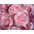 200db átmérő 7cm lila szín száma 04 Fokozottan műselyem Simulation Rose Camellia virág fej Esküvői Karácsonyi Partidekorációk
