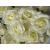 200pcs Diameter 7cm  Color Number 04 Highly Artificial Silk Simulation Rose Camellia Flower  Wedding Christmas Party Decorations