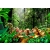 Free shipping wholesale of lenticular 3d pictures 3d lenticular art picture 3d picture lenticular picture