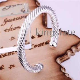 Free shipping 10pcs/lot top hot sell Beautiful fashion jewelry  charm new Elegant Special Noble Unique new Fantastic smooth Spiral bangle bracelet Sell well best gift B30