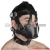 Black Leather  Harness with Muzzle Leather Muzzle