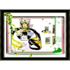  (12pcs) foce Hardcover version,DVD,Net bag, Suspension Resistance Bands+hi;l