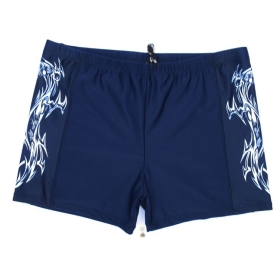 2012-new swimwear men's swimming trunks Men's swimwear Men's bathing suit (XXXXL)