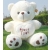 דמויות צעצוע קטיפה זרועות גדול לב דוב LOVE טיפול לשאת נשק דובון גדול בובת דוב לבן