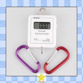 0.01-25KG 0.01/25kg 0.01x25kg Mini Pocket Portable Digital Electronic Weight Scale, Free Shipping, Wholesale 