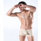 2012 hot sale   silk briefs   ! Smooth -thin sexy men's underwear U convex transparent t-shaped pants man man with lower transparent t-shaped pants No 005