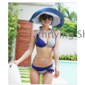 free shipping New small chest fashion sexy female fission bikini triangle hot spring bathing suit    