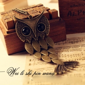 Free Shipping Fashion jewelry retro jewelry hollow owl necklace / sweater chain [26]