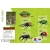 3D animal insect puzzles DIY toys beetle collection puzzles assembly the first generation of insect Educational toys birthday gift