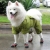 Velcí psi déšť boot pes velký pes venkovní obuv sportovní obuv domácí zvířata obuv