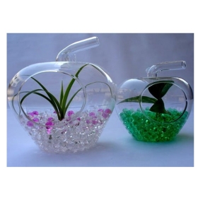 Free Shipping,Crystal Soil/Water Beads/flower mud Retail Pack,drop shipping