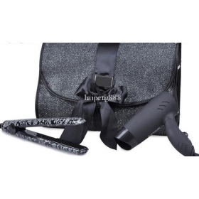 10pcs / Precious Christmas Gift set Hair Straighteners with the hair dryer .