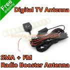 Car Digital TV Antenna Aerial For Car DVD DVB-T SMA+FM Radio Booster Antenna TV Booster FM Radio Windshield Mount Free Shipping