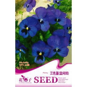 1 Pack 50 Seed blue and brown mixed pansy flower seeds A089