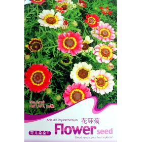 1 Pack 30+ Seed Annual chrysanthemum Chrysant hemun flower A018