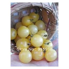 TOMATO - WHITE CHERRY - 50 SEEDS