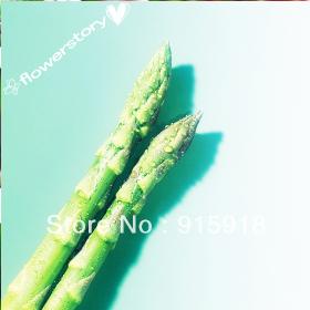 100 Semi , Asparagi " Mary Washington " ( Asparagus officinalis ) semi