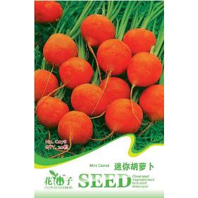 1 Pack 20+ seed Mini Carrot Vegetable seeds pack C078