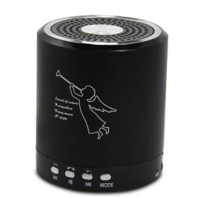 High Quality T-2020 Portable Music Speaker USB Slot Support FM Radio MP3 MP4 Player Black