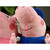 2Pcs/Lot Peppa Pig Grandpa And Grandma Plush Toys 30CM High Pepa Pig Party Kids Brinquedos 2014 New Arrival