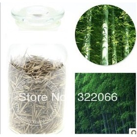 200PCS + MOSO BAMBOO HUGE MAO BAMBOO- Seeds - Phyllostachys pubescens / edulis - Moso Bamboo